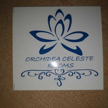 Orchidea Celeste Manfredonia