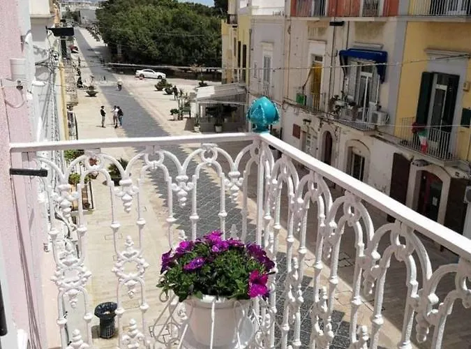 Orchidea Celeste Couette-café