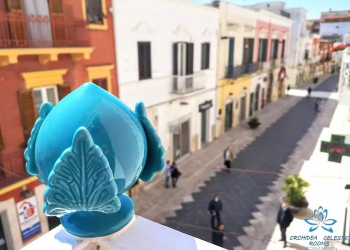 Couette-café Orchidea Celeste Manfredoine