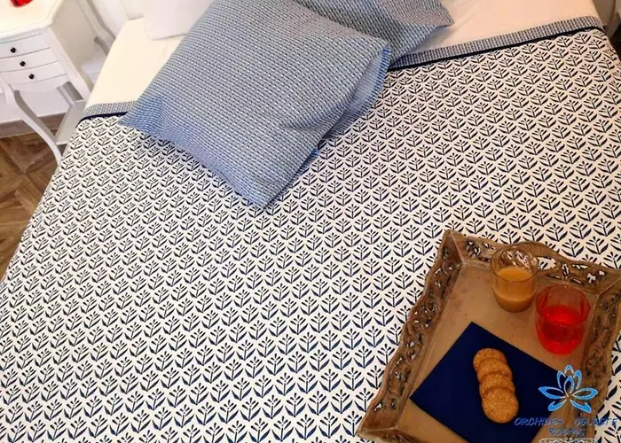 Orchidea Celeste Couette-café